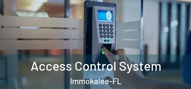  Access Control System Immokalee-FL