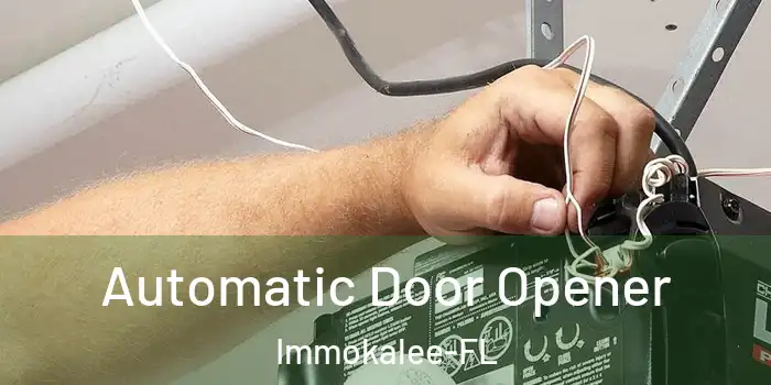 Automatic Door Opener Immokalee-FL