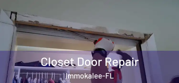  Closet Door Repair Immokalee-FL