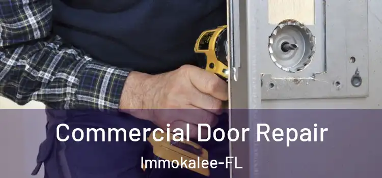  Commercial Door Repair Immokalee-FL