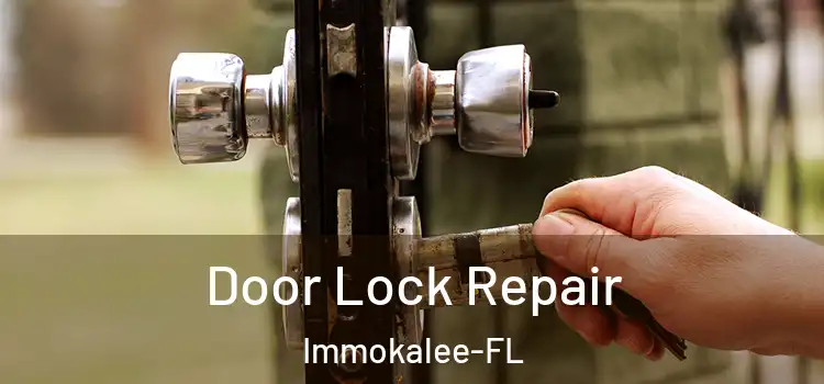  Door Lock Repair Immokalee-FL