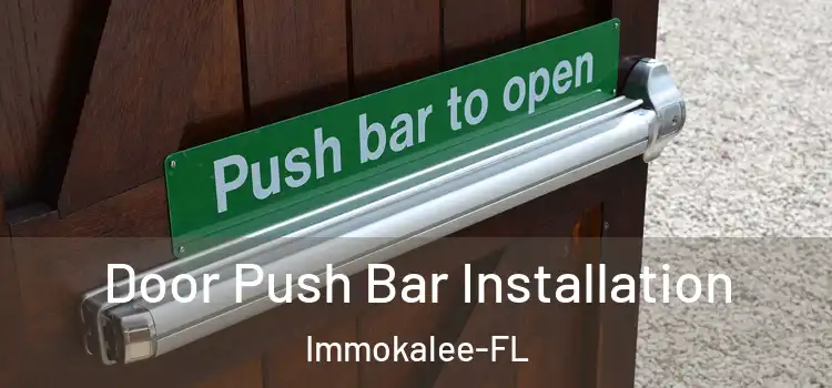  Door Push Bar Installation Immokalee-FL