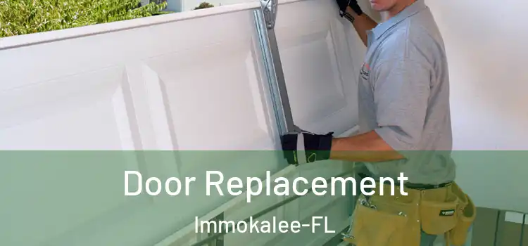  Door Replacement Immokalee-FL