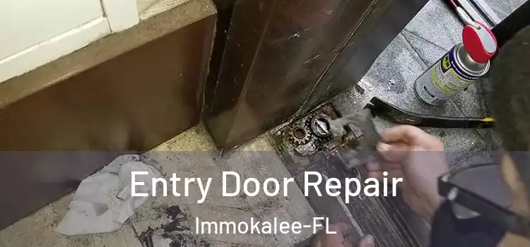  Entry Door Repair Immokalee-FL
