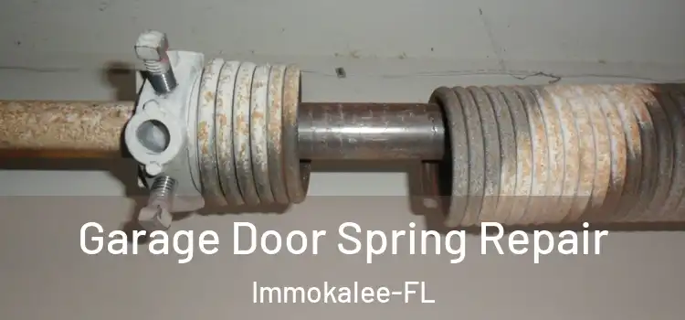 Garage Door Spring Repair Immokalee-FL