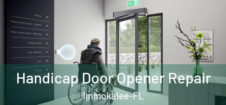  Handicap Door Opener Repair Immokalee-FL
