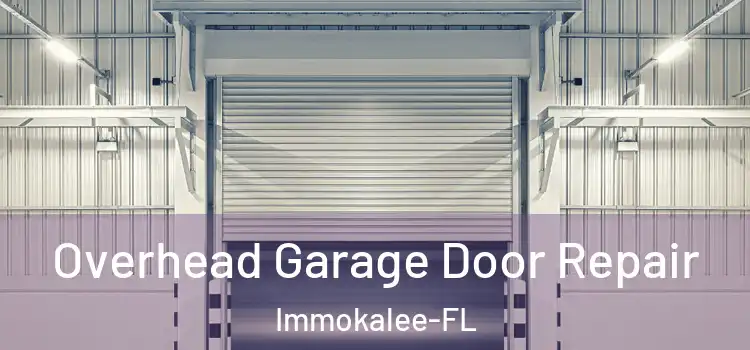  Overhead Garage Door Repair Immokalee-FL