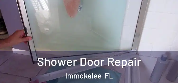  Shower Door Repair Immokalee-FL