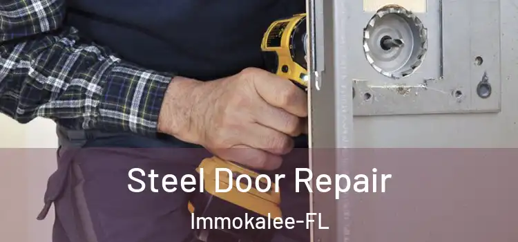  Steel Door Repair Immokalee-FL